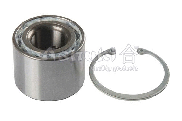 Wheel Bearing Kit (K803-25)