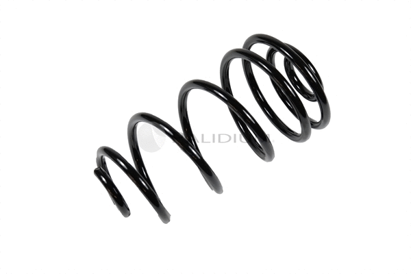 Suspension Spring (PAL10-1042)