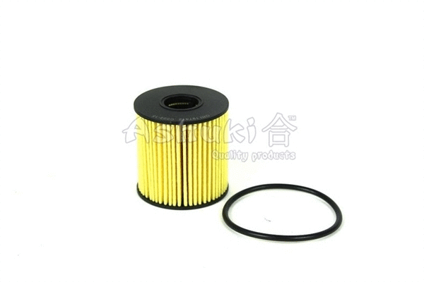 Oil Filter (C022-15)