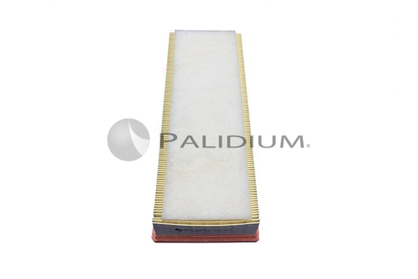 Air Filter (PAL2-2047)