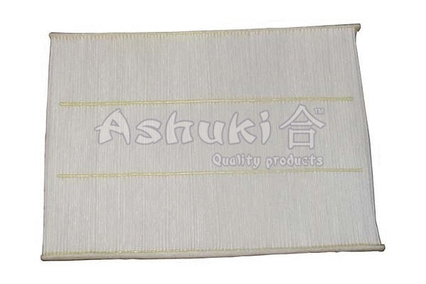 Filter, cabin air (T109-65)