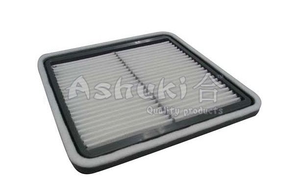 Air Filter (S077-09)