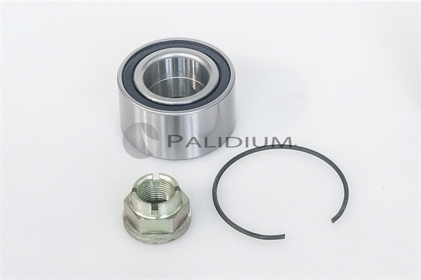 Wheel Bearing Kit (PAL6-1009)