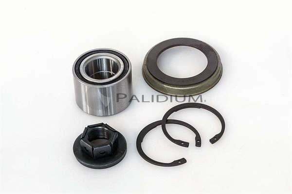 Wheel Bearing Kit (PAL6-1002)