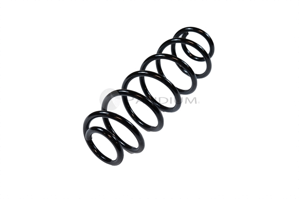Suspension Spring (PAL10-1004)
