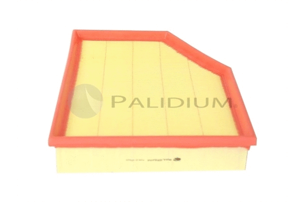 Air Filter (PAL2-2500)
