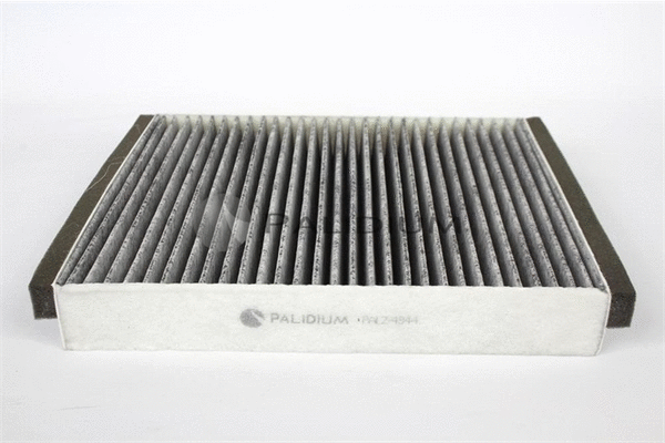 Filter, cabin air (PAL2-4020)