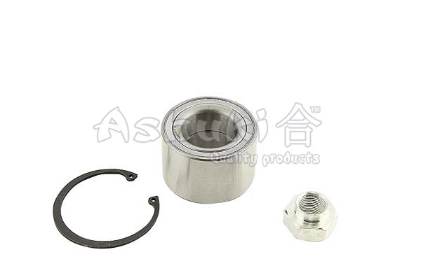 Wheel Bearing Kit (K800-06)