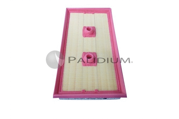 Air Filter (PAL2-2081)