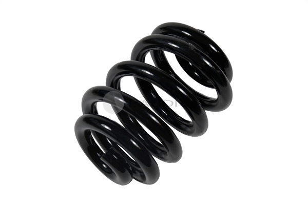 Suspension Spring (PAL10-1024)