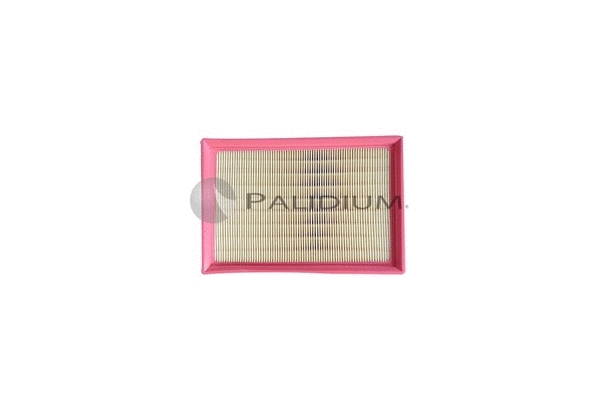 Air Filter (PAL2-2055)