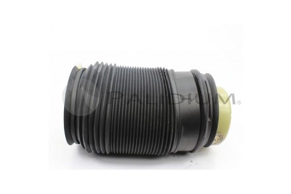 Air Spring, suspension (PAL10-5006)