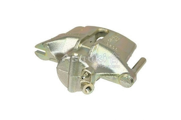 Brake Caliper (N017-20NEW)