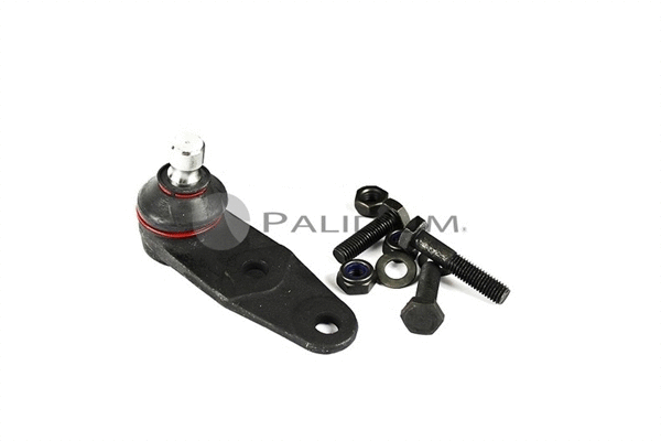 Ball Joint (PAL5-6000)