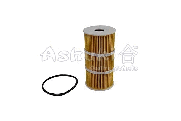 Oil Filter (N001-30)