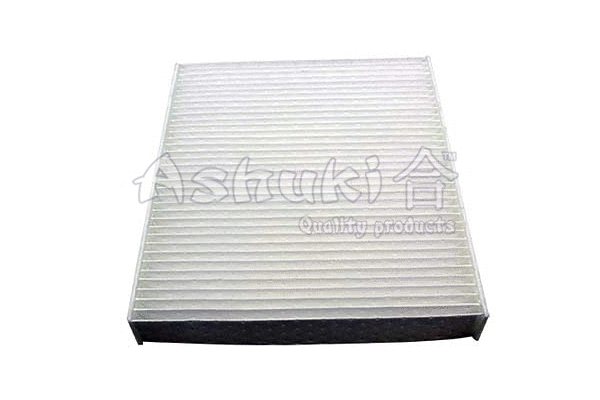 Filter, cabin air (K005-60)