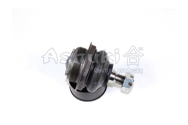 Ball Joint (Y850-25)