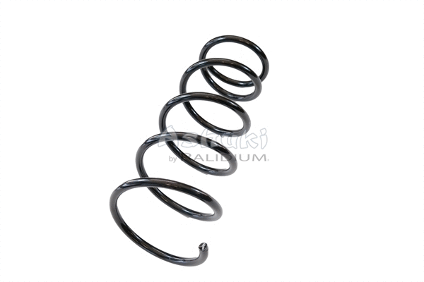 Suspension Spring (ASH10-0003)