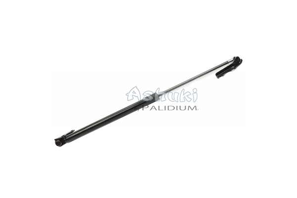 Gas Spring, boot/cargo area (ASH21-0011)