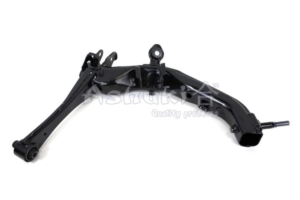 Control/Trailing Arm, wheel suspension (T894-95)