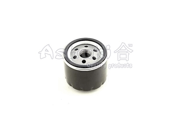Oil Filter (C021-15)