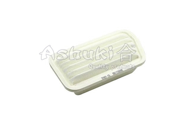Air Filter (D161-15)
