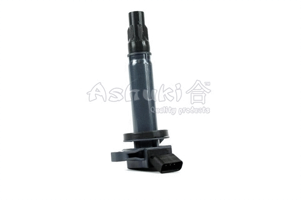 Ignition Coil (1608-3006)