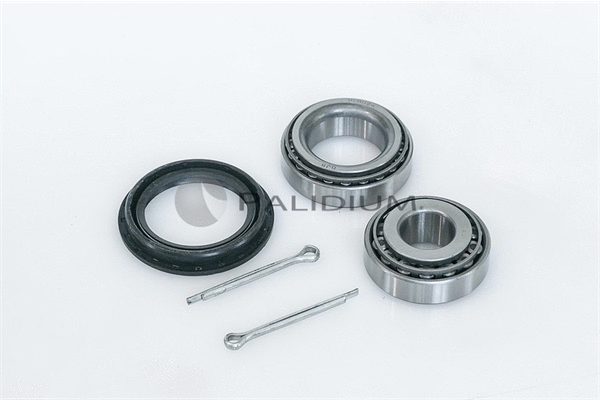 Wheel Bearing Kit (PAL6-1041)