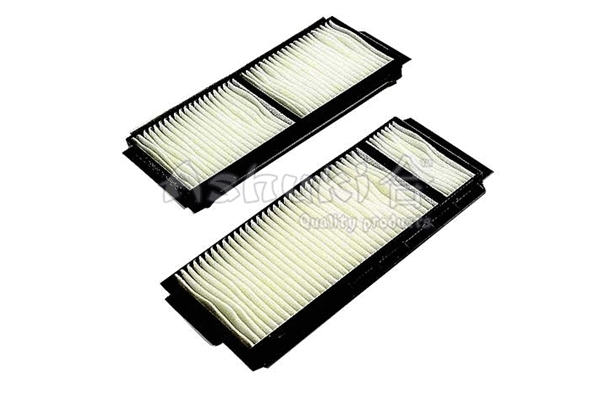 Filter, cabin air (M030-36)