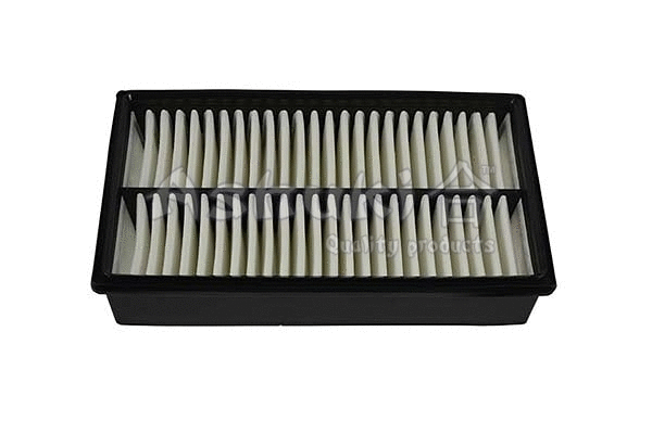 Air Filter (0396-2603)
