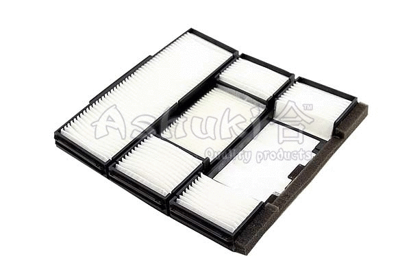 Filter, cabin air (T109-30)