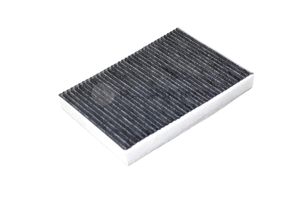 Filter, cabin air (PAL2-4388)