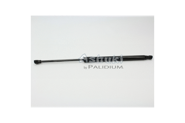 Gas Spring, boot/cargo area (ASH21-0007)