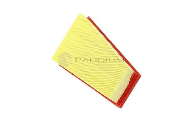 Air Filter (PAL2-2515)
