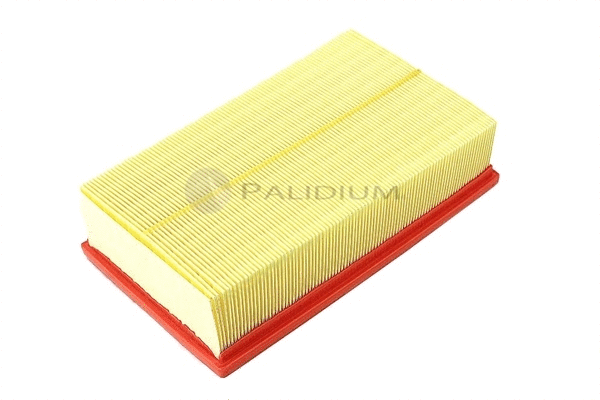 Air Filter (PAL2-2511)