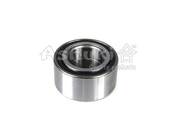 Wheel Bearing Kit (H310-25)