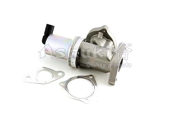 EGR Valve (Y222-01)