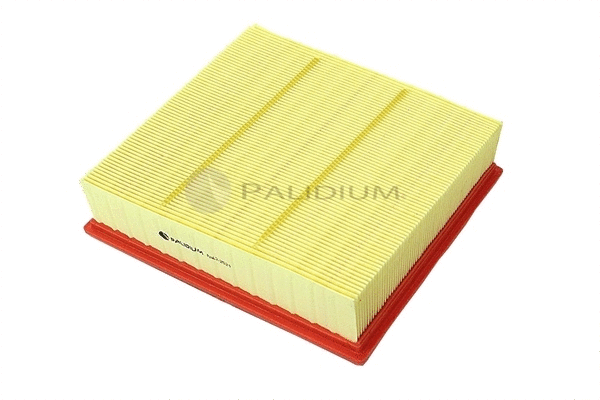 Air Filter (PAL2-2521)