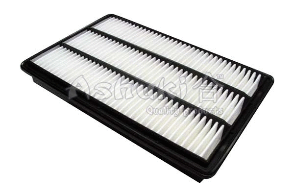 Air Filter (0396-2405)