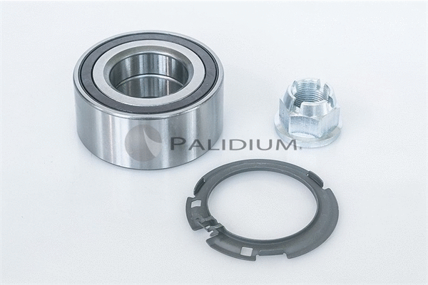 Wheel Bearing Kit (PAL6-1017)