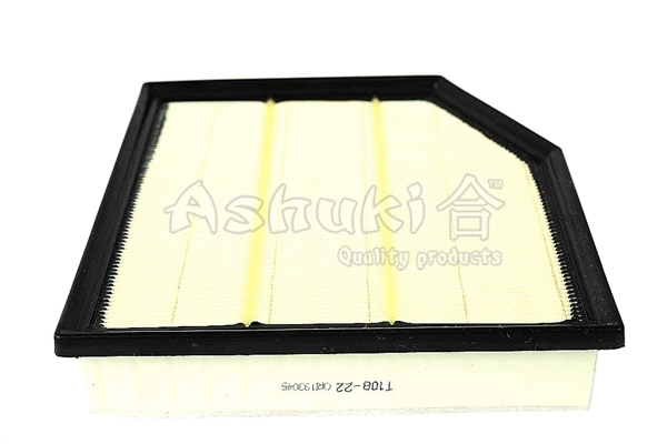 Air Filter (T108-22)