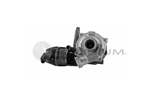 Charger, charging (supercharged/turbocharged) (PAL20-0019)