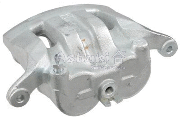 Brake Caliper (N017-10NEW)