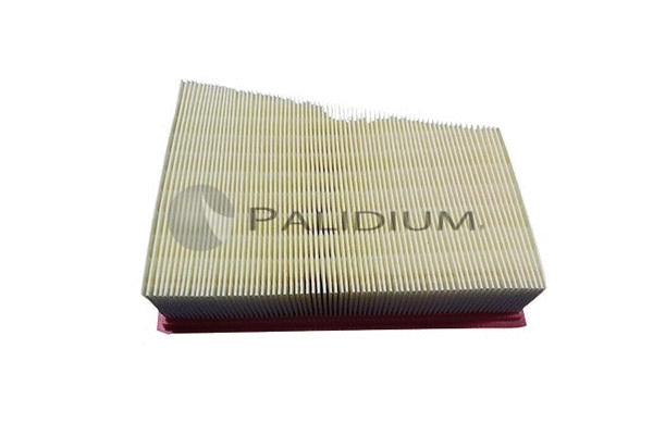 Air Filter (PAL2-2111)