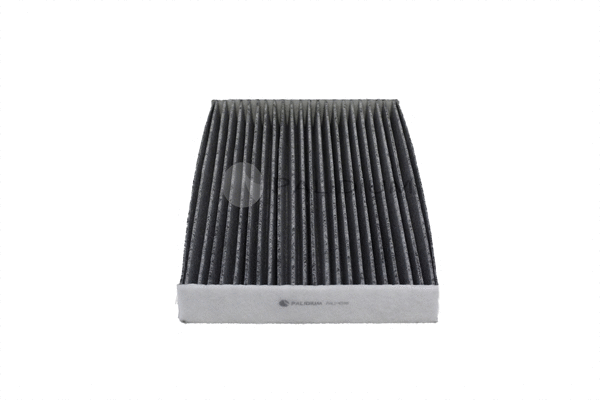 Filter, cabin air (PAL2-4398)