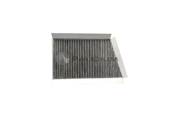 Filter, cabin air (PAL2-4369)