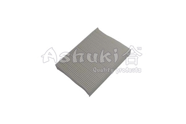 Filter, cabin air (N002-87)