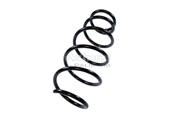 Suspension Spring (ASH10-0009)