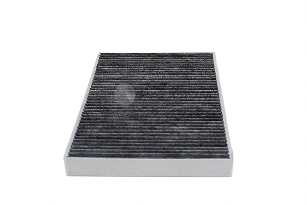 Filter, cabin air (PAL2-4396)