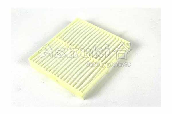 Filter, cabin air (K005-55)